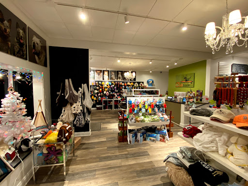 Pet Supply Store «Diggidy Dog», reviews and photos, Ocean Ave & Monte Verde St, Carmel-By-The-Sea, CA 93923, USA