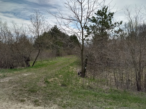 Nature Preserve «Hoover Forest Preserve», reviews and photos, 11285 W Fox Rd, Yorkville, IL 60560, USA
