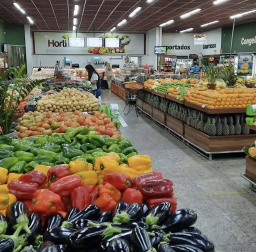 Logo da empresa - HortiPlus Castelo