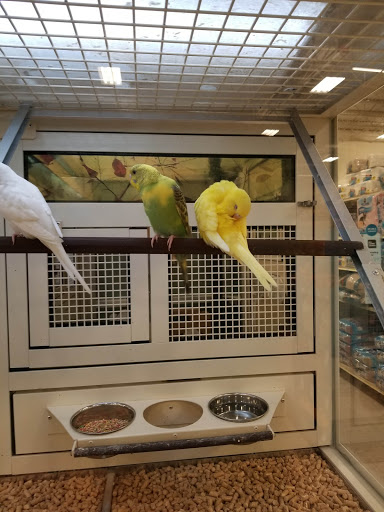 Pet Supply Store «PetSmart», reviews and photos, 73 RHL Blvd, South Charleston, WV 25309, USA