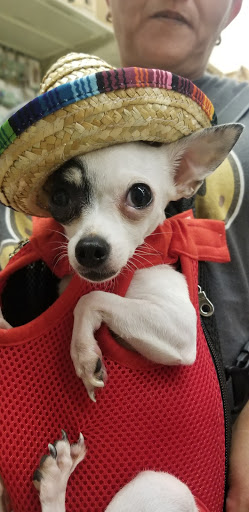 Craft Store «Hobby Lobby», reviews and photos, 4001 Hardwick St, Lakewood, CA 90712, USA