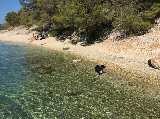 Vedrana beach