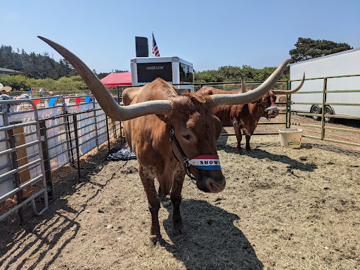 Event Venue «Curry County Fairgrounds», reviews and photos, 29392 Ellensburg Ave, Gold Beach, OR 97444, USA