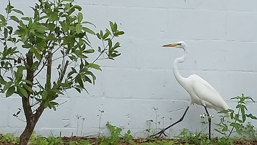 Boat Tour Agency «Good Time Charters», reviews and photos, 4765 Estero Blvd, Fort Myers Beach, FL 33931, USA