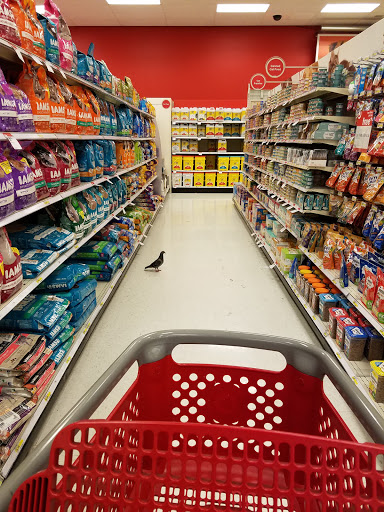Department Store «Target», reviews and photos, 2040 California Ave, Sand City, CA 93955, USA