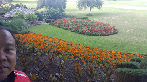 Ambleside Park | West Vancouver