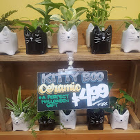 Trader Joe's - Photo 8 - Car repair in Seattle, WA, Seattle