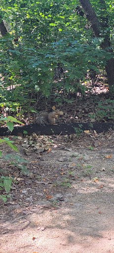 Nature Preserve «Wood Lake Nature Center», reviews and photos, 6710 Lake Shore Dr S, Minneapolis, MN 55423, USA