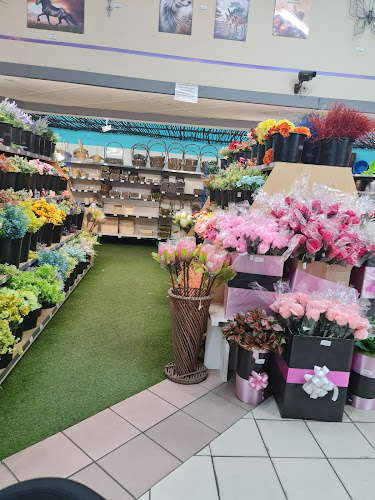 My China Variety store - Other