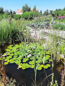 Landesforstgarten Ottenstein Ottenstein 4, 3532 Rastenfeld, Österreich