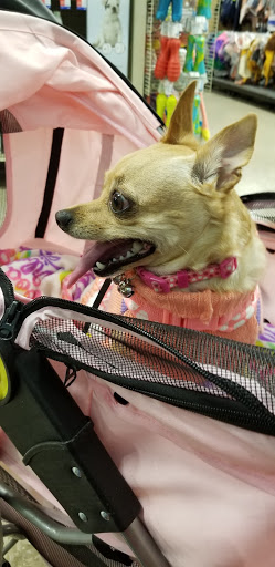 Pet Supply Store «PetSmart», reviews and photos, 19175 Lyndon B Johnson Fwy, Mesquite, TX 75150, USA