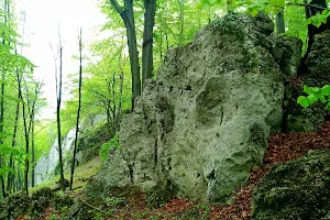 Rezerwat Dolina Szklarki image