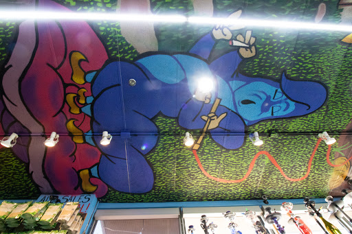 Vaporizer Store «Cloud 9 Smoke Co», reviews and photos, 180 Riverstone Pkwy #100, Canton, GA 30114, USA