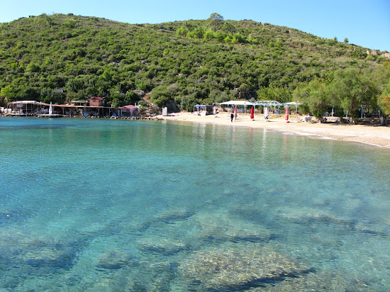 Toslaklar Koyu