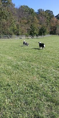 Pet Care Express - Photo 2 - Car repair in Bloomington, IN, Bloomington