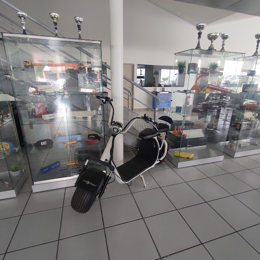 Photo 1 - CASSÉ Franck