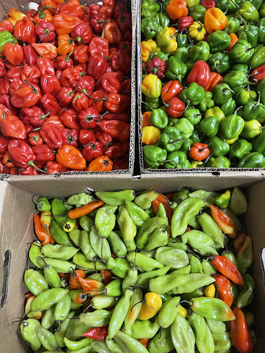 Grocery Store «Mt Everest Grocery LLC», reviews and photos, 6835 Loch Raven Blvd, Baltimore, MD 21286, USA