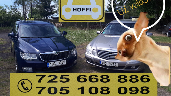 Taxi Hofmann - Teplice
