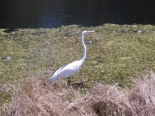 Golf Club «The Hackler Course at Coastal Carolina University», reviews and photos, 107 Citadel Dr, Conway, SC 29526, USA