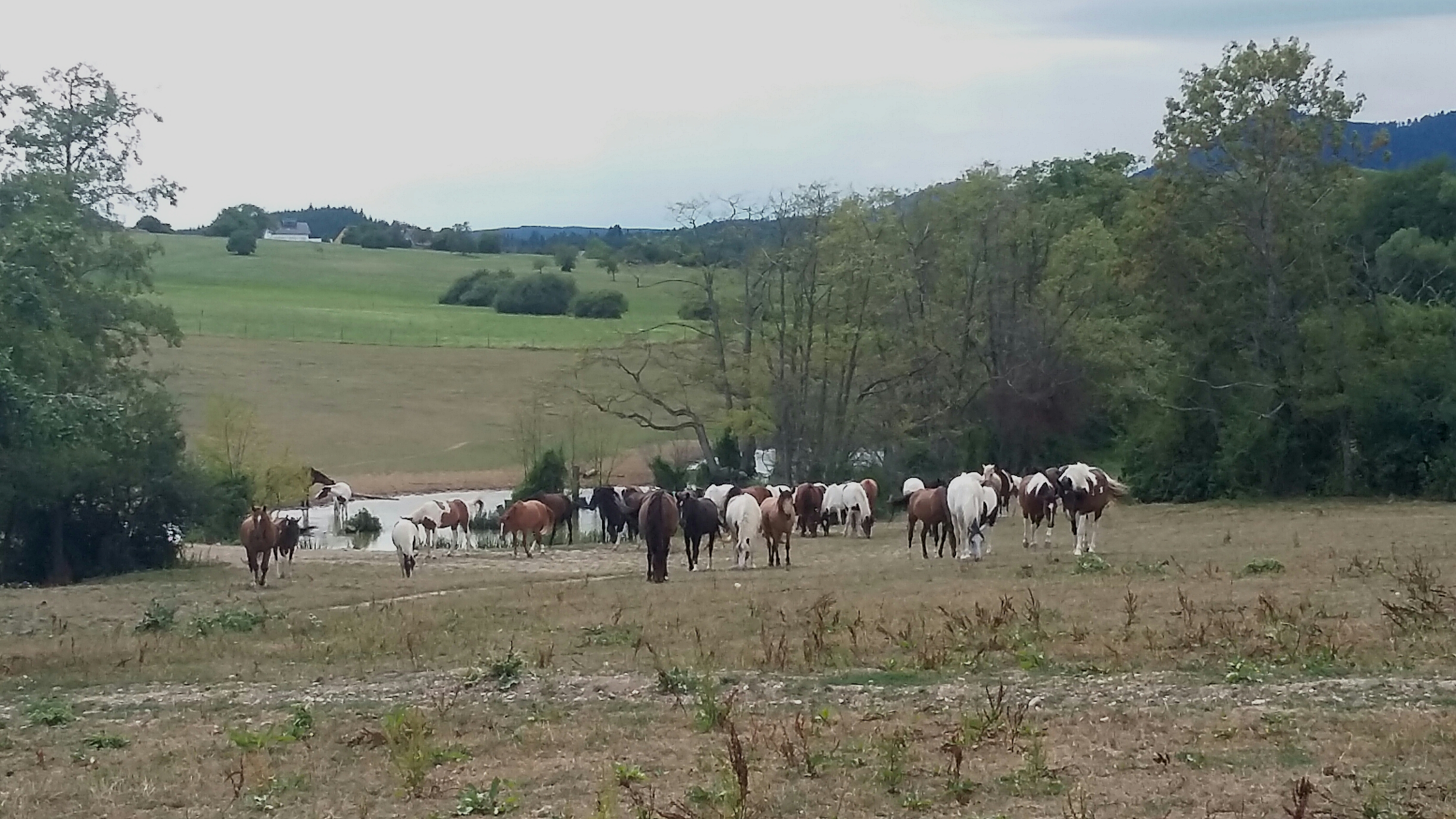 Photo n° 3 de l'avis de Mireille.r fait le 01/08/2018 à 16:05