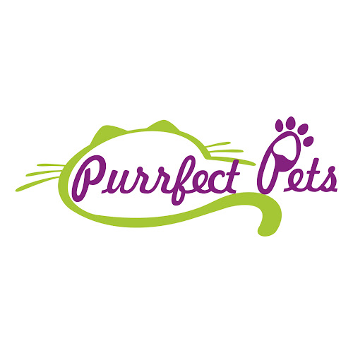Veterinaria Purrfect Pets - Quito