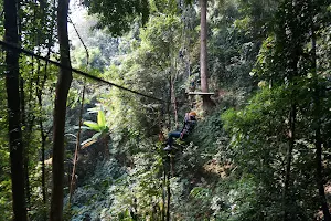 Dragon Flight Zipline - Chiang Mai image