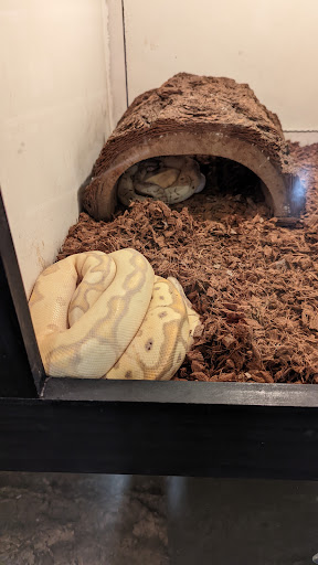 Pet Store «Miles of Exotics», reviews and photos, 8350 N Broadway, Kansas City, MO 64118, USA