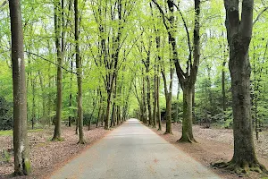 Bocholter Stadtwald image