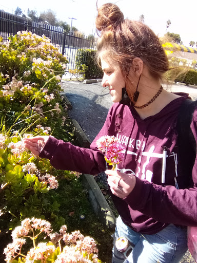 Convenience Store «7-Eleven», reviews and photos, 367 Ocean St, Santa Cruz, CA 95060, USA