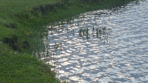 Nature Preserve «Rowlett Creek Preserve», reviews and photos, 2525 Castle Dr, Garland, TX 75040, USA