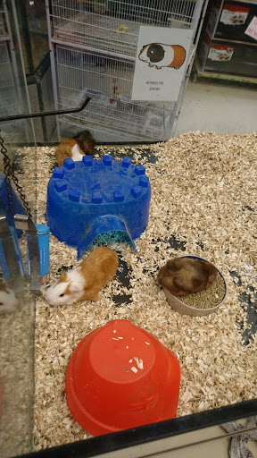 Pet Store «Pet Land», reviews and photos, 1450 Fort Campbell Blvd, Clarksville, TN 37042, USA