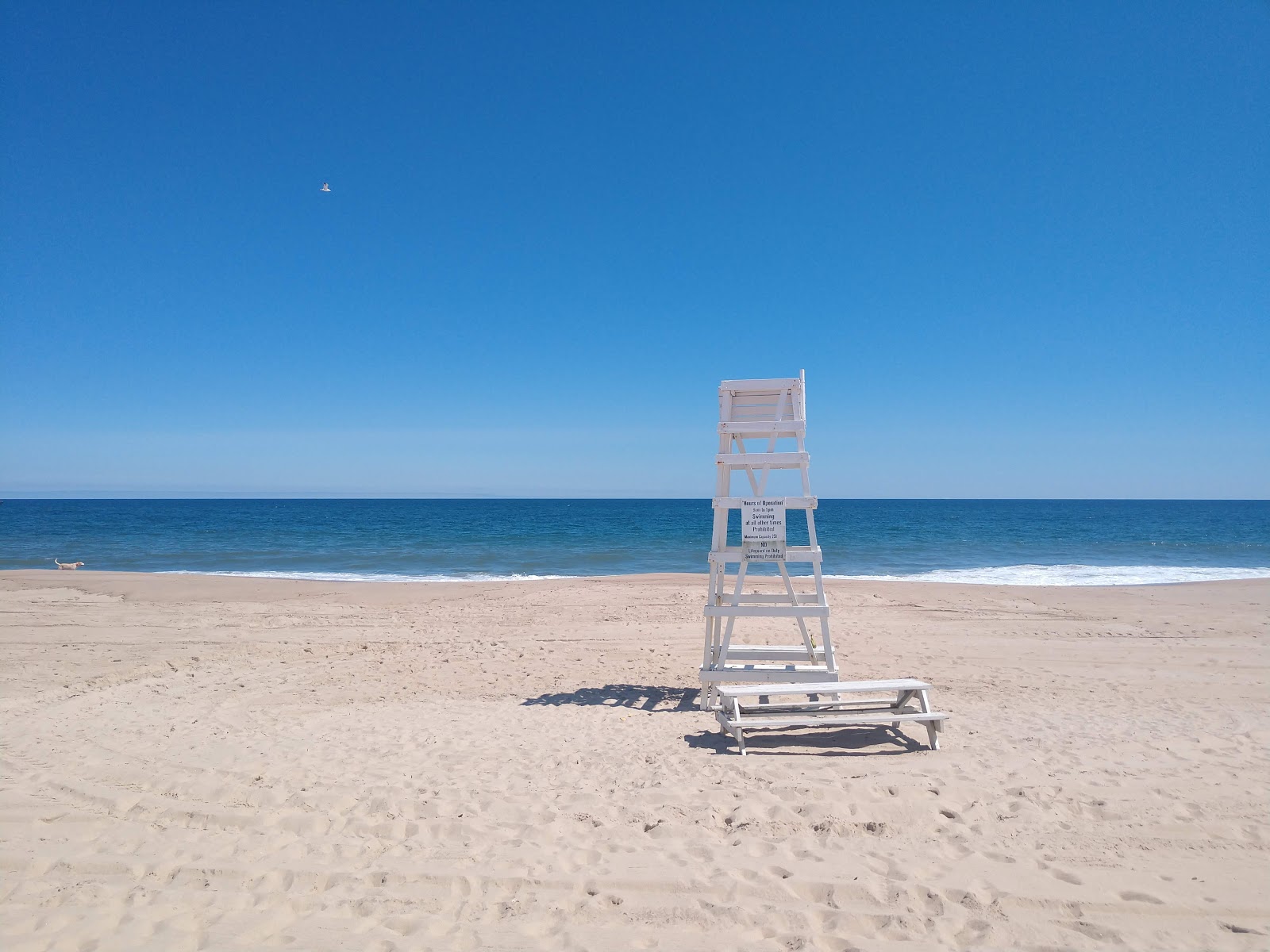 Valokuva Napeague Ocean Beachista. pinnalla sininen puhdas vesi:n kanssa
