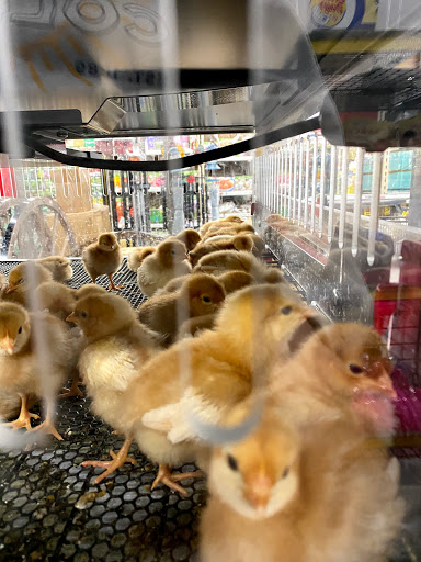 Home Improvement Store «Tractor Supply Co.», reviews and photos, 1360 Strickler Rd, Mount Joy, PA 17552, USA