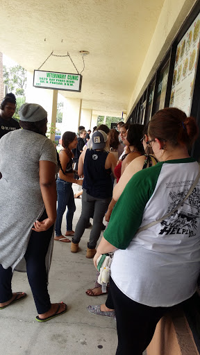 Explore chicago skyline tattoo ideas, creative tattoo ideas in Saint Petersburg, available at Lucky You Tattoo