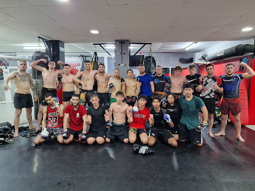 69 Monos – Acadèmia d'arts marcials mixtes (MMA) en Cornellà de Llobregat, Barcelona
