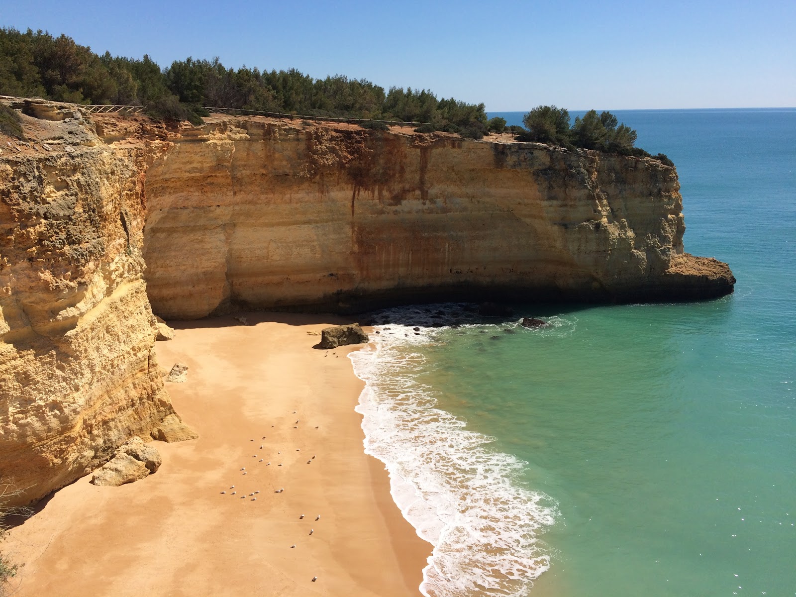 Foto di Praia da Corredoura e il suo bellissimo paesaggio
