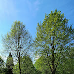 Photo n°1 de l'avis de Alex.. fait le 30/05/2021 à 19:27 sur le  Schlosshotel Diersfordt B&B Niederrhein GmbH à Wesel