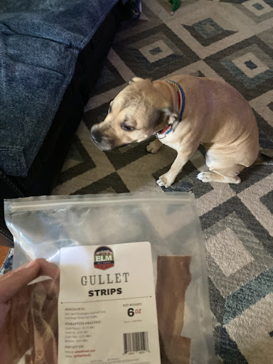 Pet Supply Store «Concord Pet Foods & Supplies», reviews and photos, 135 Aerenson Dr, Milford, DE 19963, USA