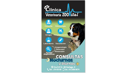 Clínica veterinaria VITAL