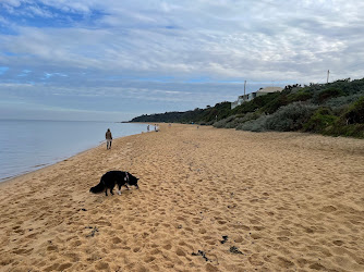 Black Rock Beach Dog Off Leash Area