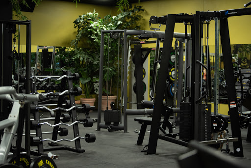 Zen Fitness Silkeborg in Silkeborg, Silkeborg