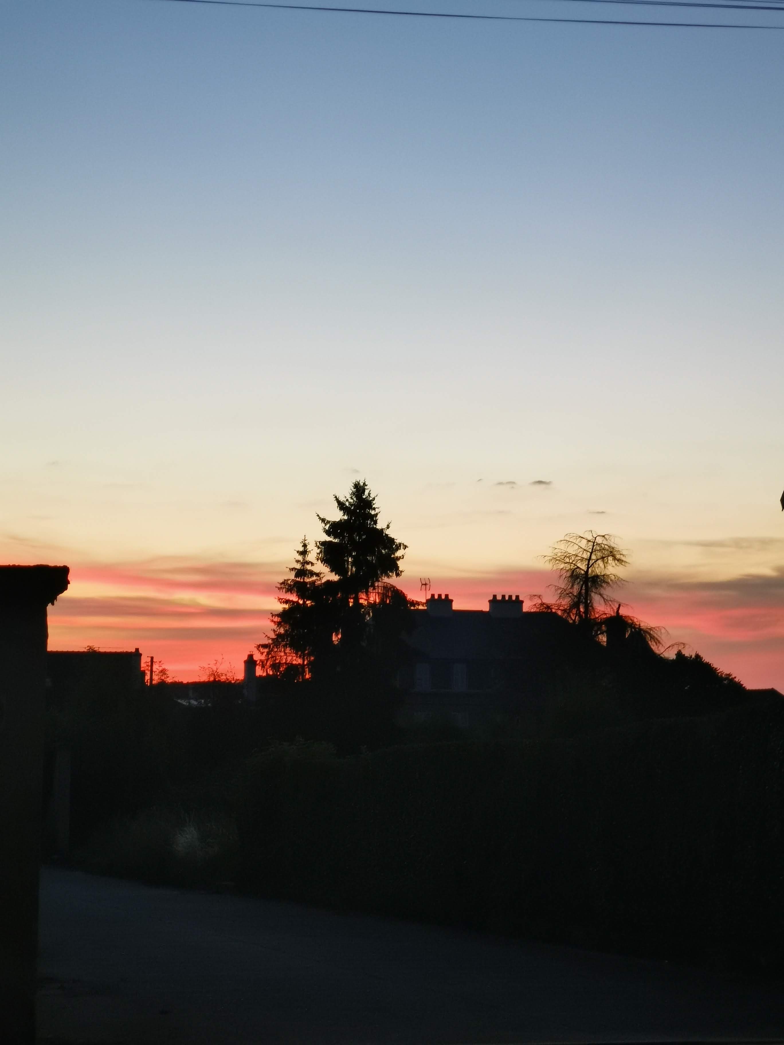 Photo n° 3 de l'avis de bel.' fait le 20/07/2020 à 13:08