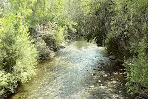 Provo River Walk image
