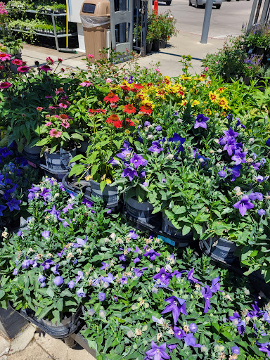 Department Store «Walmart Supercenter», reviews and photos, 2251 IN-54, Linton, IN 47441, USA