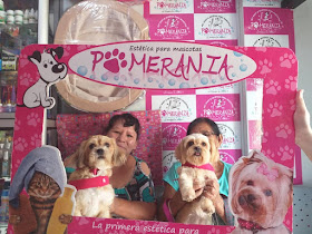 Pomerania veterinaria & estética para mascotas