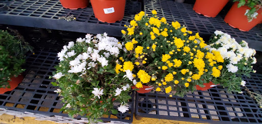 Shopping Mall «Park Ridge Shopping Center», reviews and photos, 2725 W Main St, Eagleville, PA 19403, USA