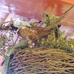 Photo n°1 de l'avis de Mister.e fait le 28/12/2022 à 17:21 sur le  Oberer Ganskeller à Neumarkt in der Oberpfalz