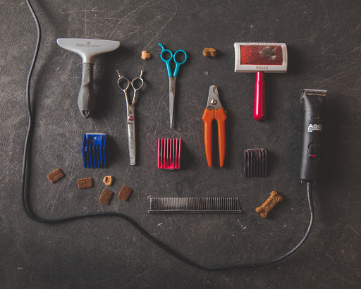 Pet Groomer «Pet-icure Pet Grooming & Supplies», reviews and photos, 89 Main St, Pepperell, MA 01463, USA