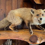 Photo n°3 de l'avis de Martin.n fait le 30/08/2022 à 17:13 sur le  Ristorante Tunina à Teglio