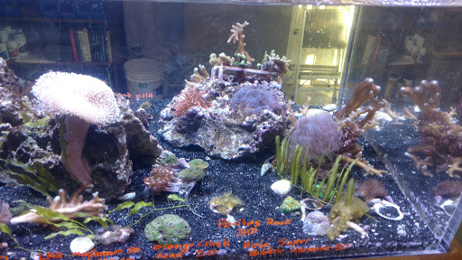 Pet Store «The Pet Works», reviews and photos, 407 4th Ave E, Olympia, WA 98501, USA